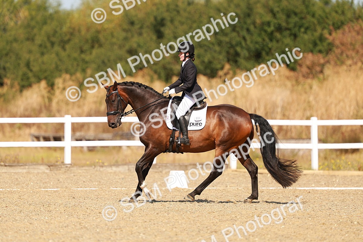 SBM_017696 - Class 9 - N5 Bronze 10.33.11.36