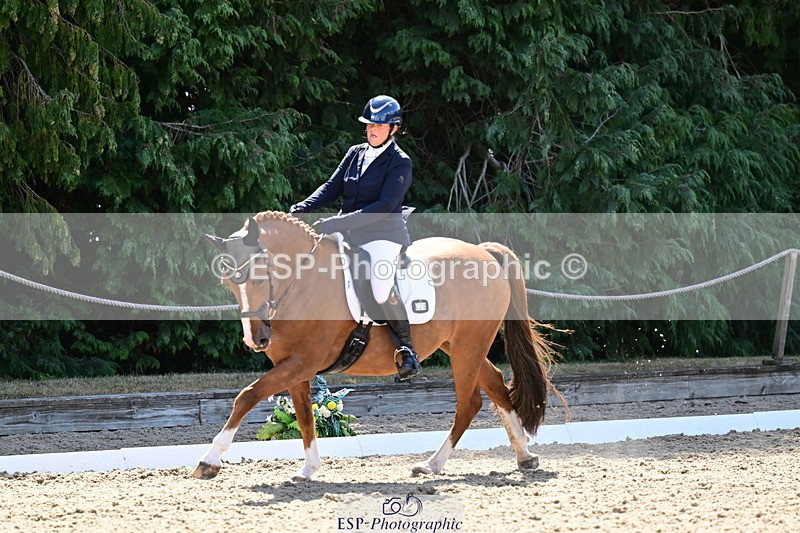 260731A-111736-00299 - Elementary Bronze 10.30 - Break