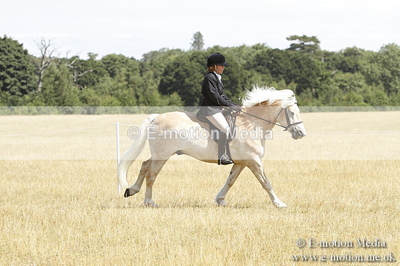 _BS_0742 - BVRC Show 2018 Ring 1