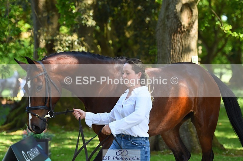 230524-162440-00856 - 101-INTERFIELDS_ABOUDDI-Saffron_Cresswell-WEDTrotUp+DR