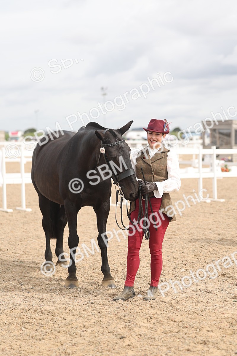 SBM_05001 - Class 20 - IH Veteran