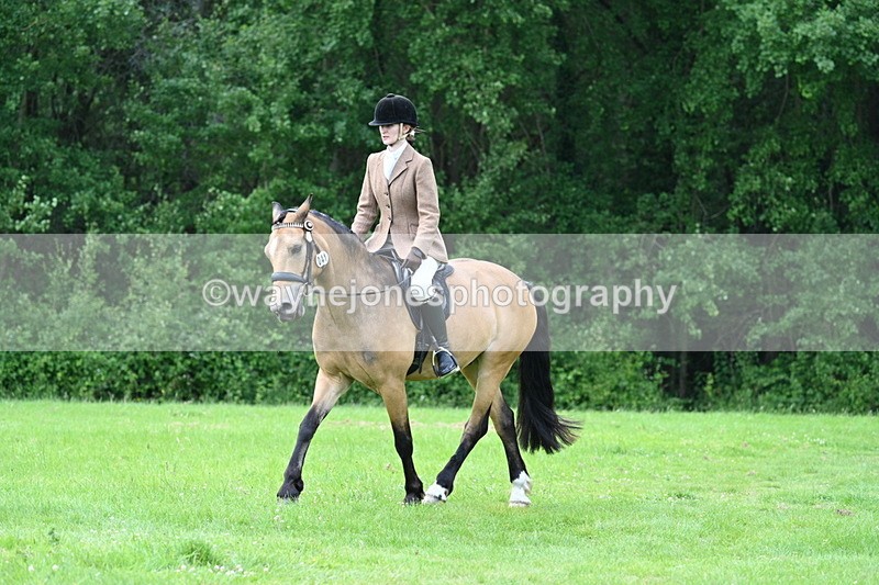 WJ7_2529 - Class 12A Coloured Class