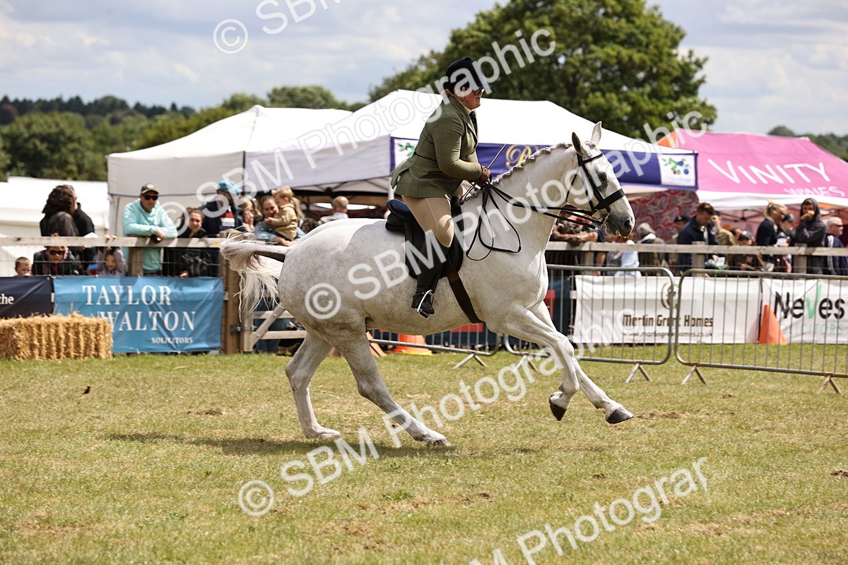 SBM_14805 - Class 88-89 - LIHS BSHA Rising Star of Ridden Hunter Type