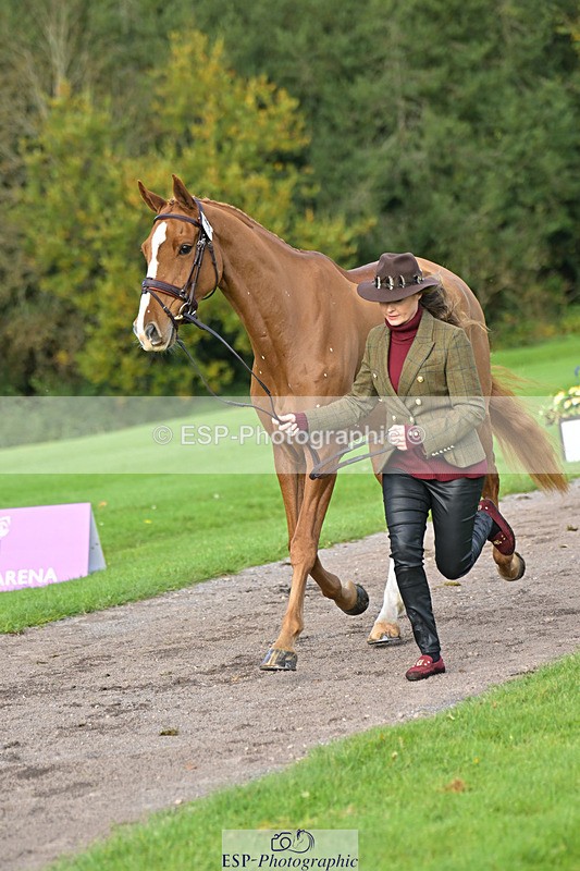 241023-131739-00186 - 010-Julia.Norman-SCOTCH.ON.THE.ROCK'Z