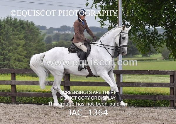 JAC_1364 - CLASS 9 BHS Scotland Riding Club Working Hunter Qualifier (1.00m)