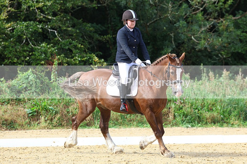 3E7A2263 - Class 1: Intro 4 2024 section A