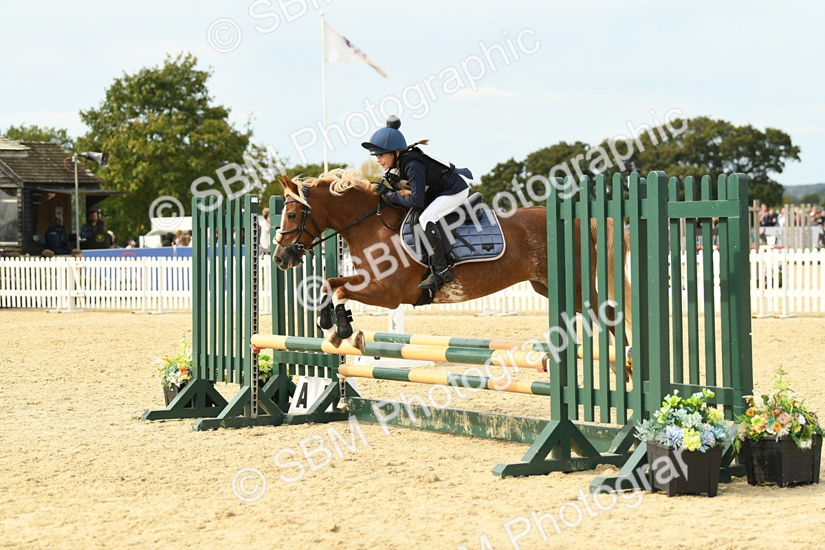 SBM_71037 - J15 - Junior Pony 70cm Championship