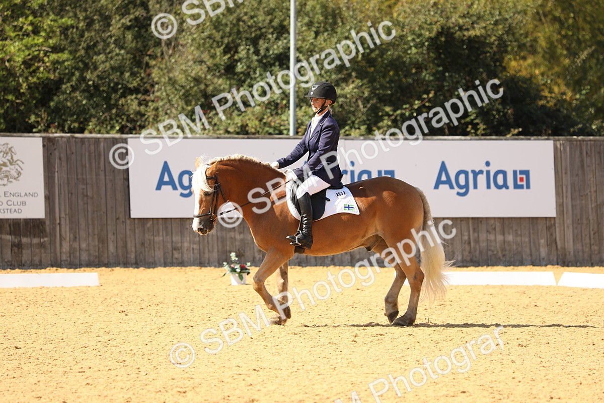 SBM_22379 - D17 - Grand Tour Championship - Novice 27
