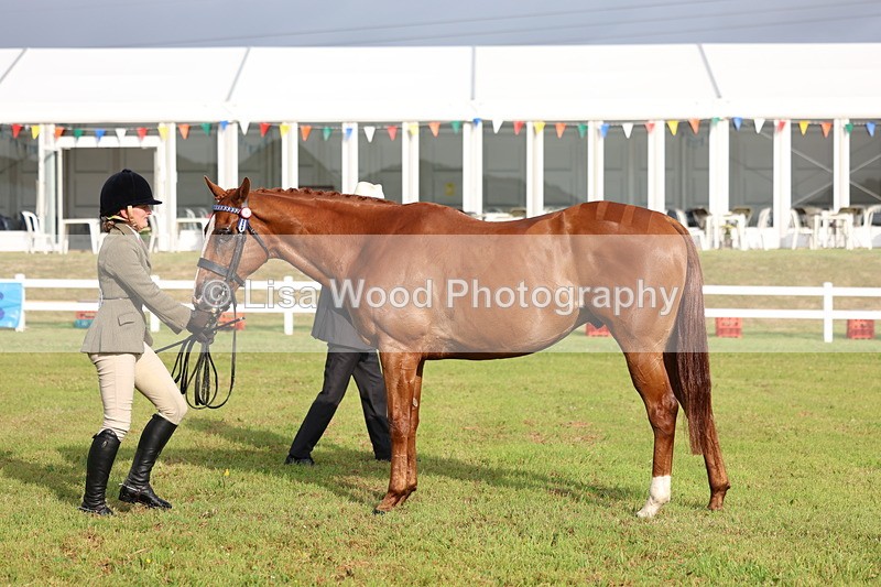 3E7A7891 - Class 1: Rising Star Small Hack/Riding Horses