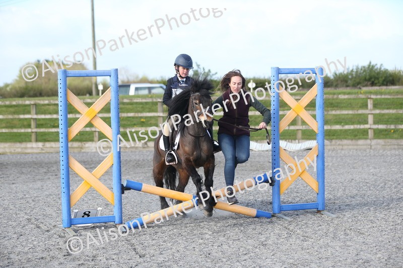 20260412-0055 - Show Jumping