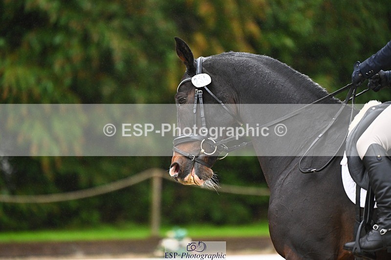 231021-103056-14466 - 234-HINDOCTRO-Louisa.Lockwood-DR