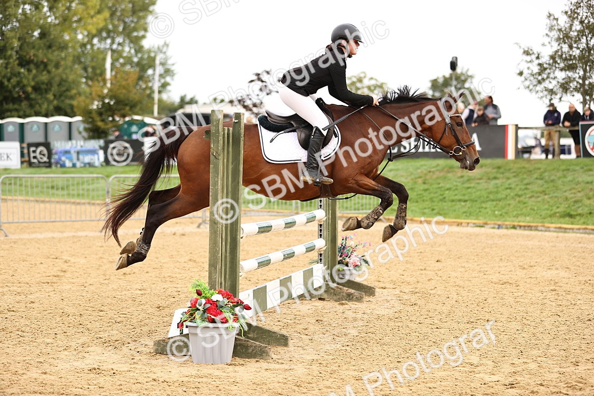 SBM_58327 - J41 - Grand Tour Horse & Pony 95cm