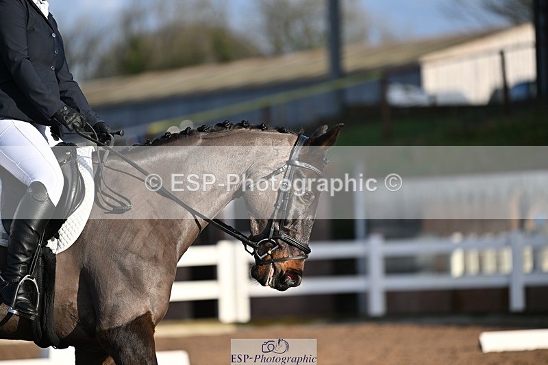 241214-105313-01243 - 140-Samantha.Henderson-Rich.Tricks.Otis