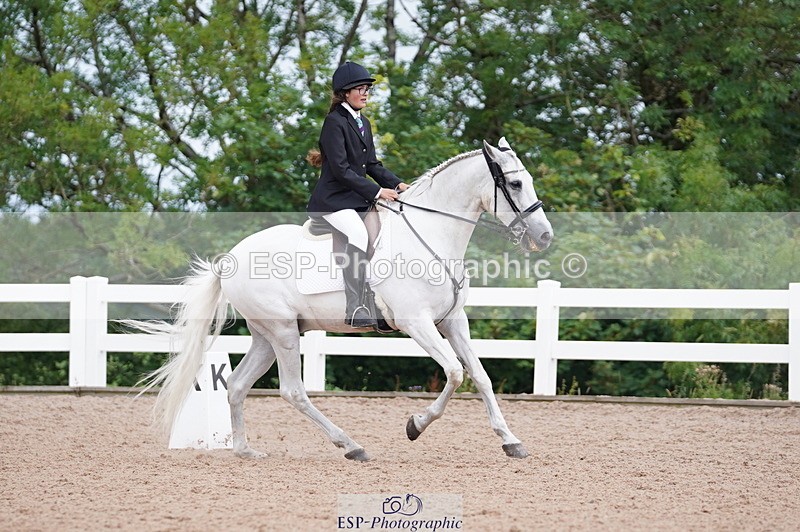 240809A-100832-00445 - Dressage Competition