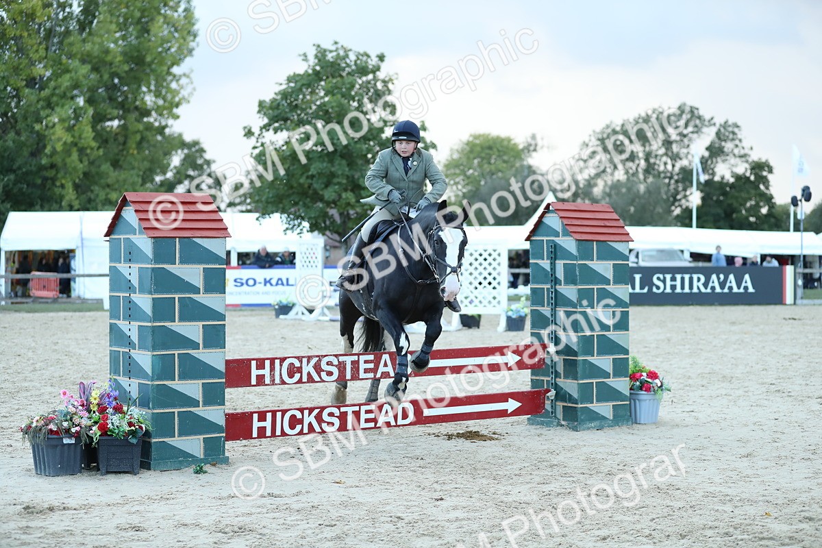 SBM_53691 - Supreme Championship 65cm 70cm