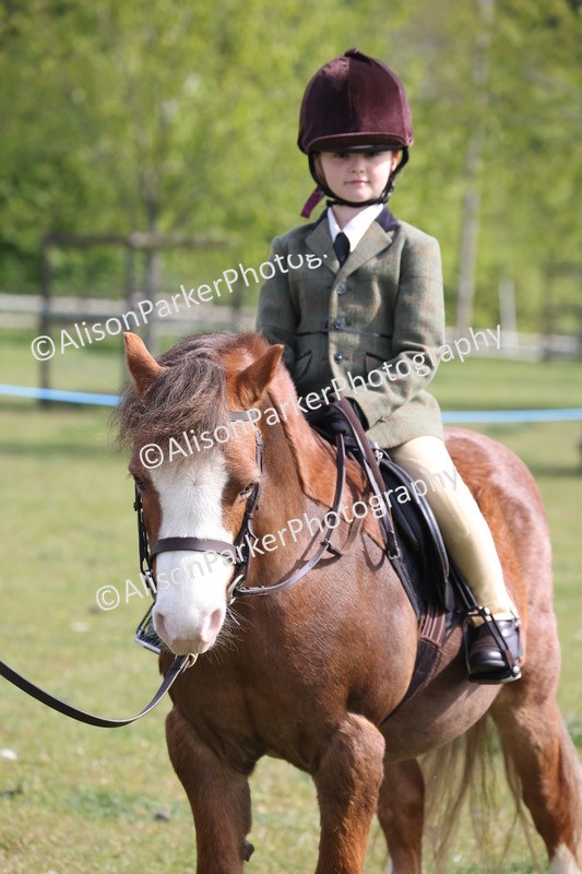20260426-0394 - Class 30 - Tiny Tots Lead Rein