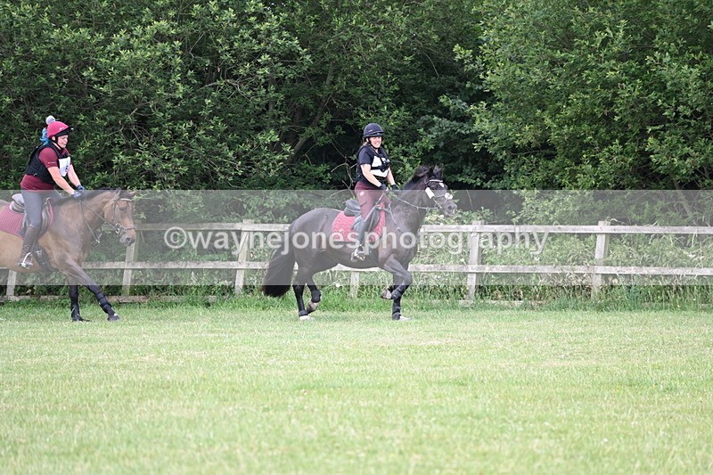 WJ6_5698 - 60cm Pairs XC