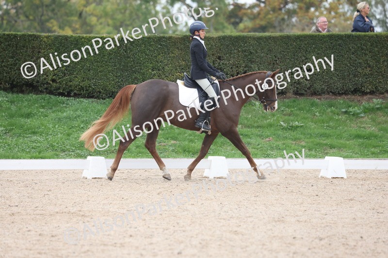 20251011-0393 - Class 4 - Novice 2