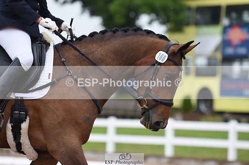 230708A-130336-01831 - Prelim 7