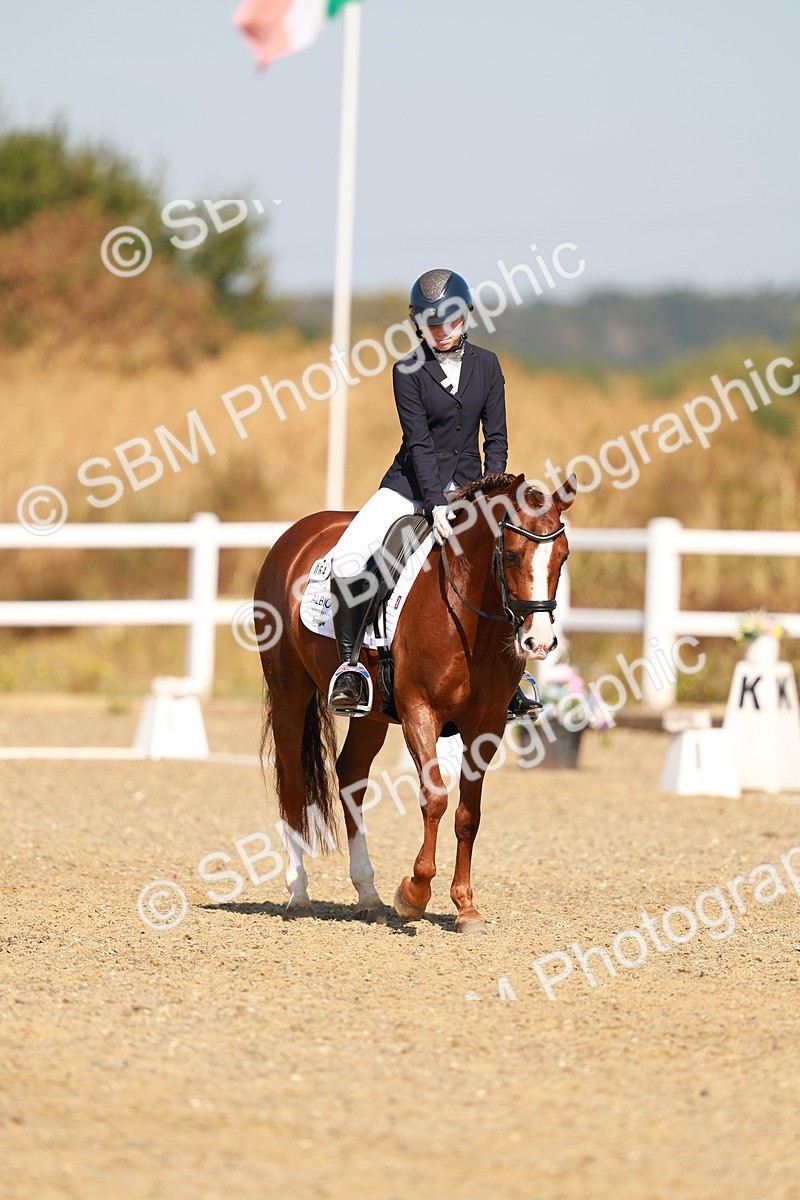 SBM_016845 - Class 9 - N5 Bronze 9.30.10.19