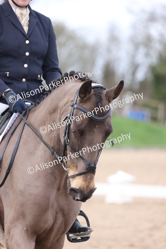 20260301-0788 - Class 4 - Novice 5