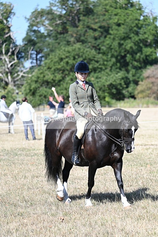 WJ7_3546 - Class 9 Mountain & Moorland Ridden