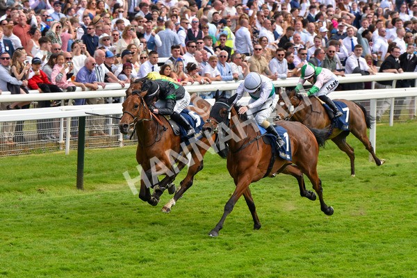 270523-Race 4-River of Stars-4355 - Race 4 3.15pm William Hill Bronte Cup Fillies' Stakes