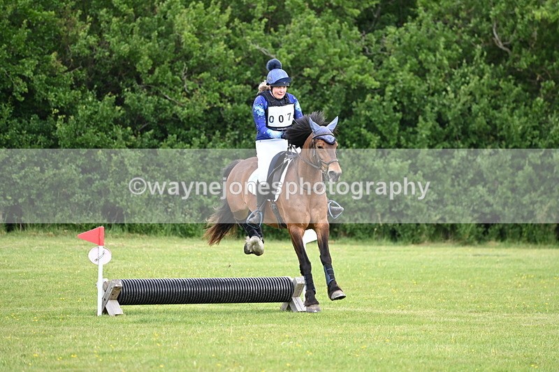 WJ6_2378 - Class 2 40cm