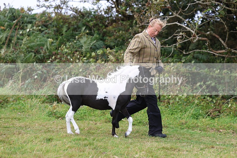 3E7A4103 - Class 15: Two Year Olds