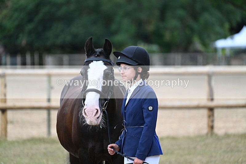 WJ7_9494 - Class 5 Most Handsome Gelding (up to 14.2hh)