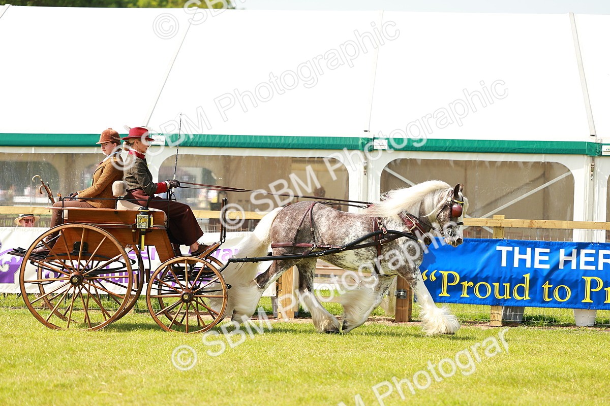 SBM_02709 - Class 2-4 - HOYS Private Driving