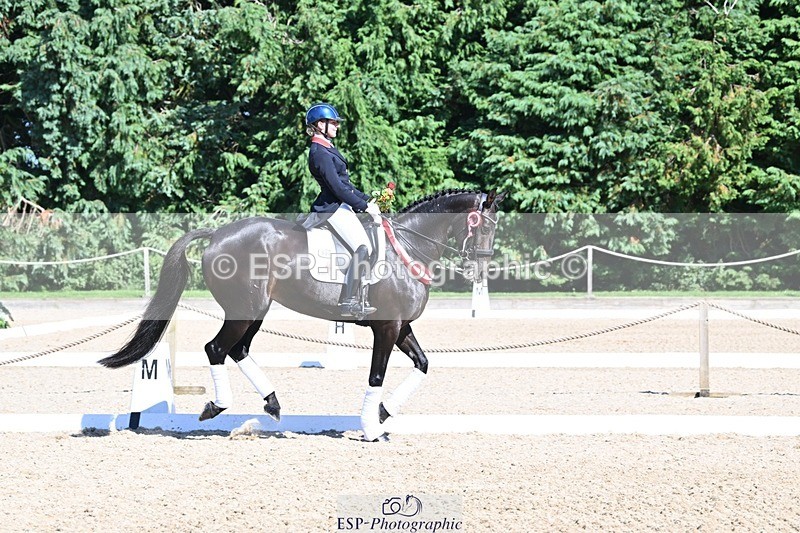 240811-154101-06773 - Inter I Gold