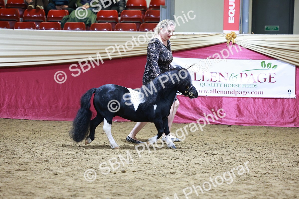 SBM_20812 - Class L - Coloured Champ