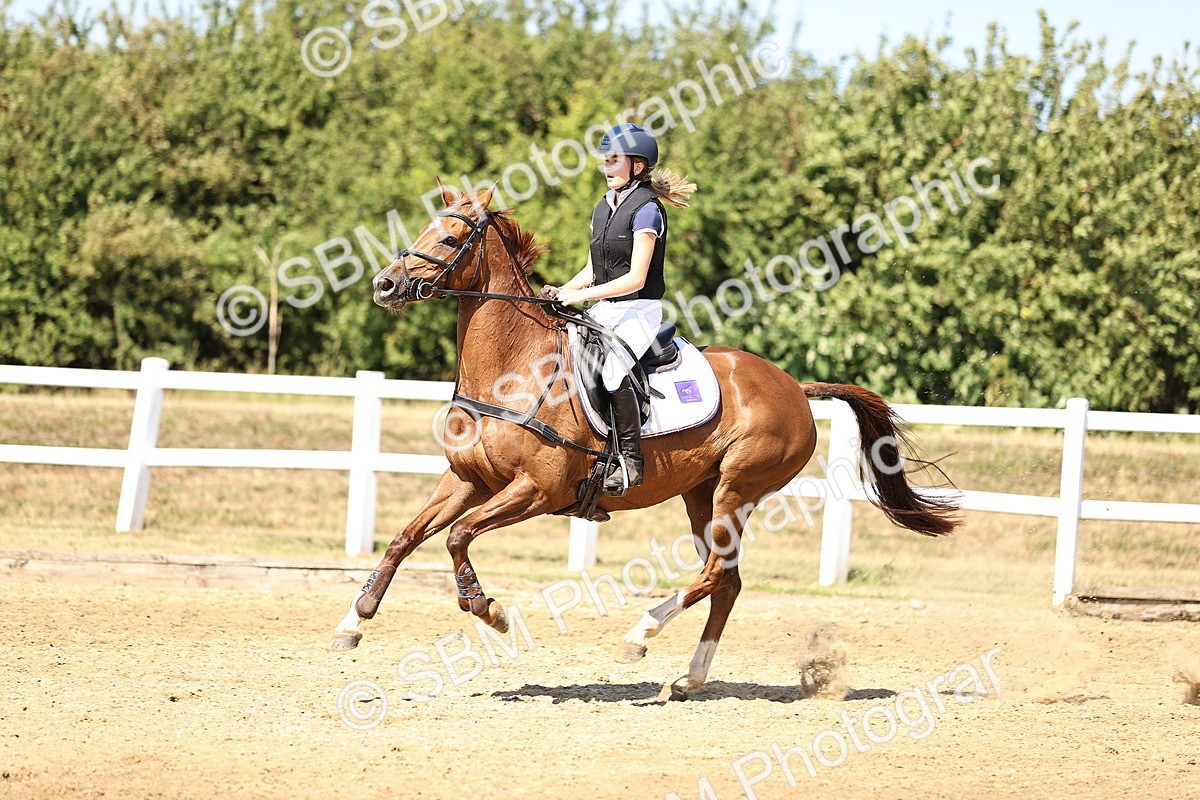SBM_015251 - Class 16 - Senior foxhunter - 1.20m Open