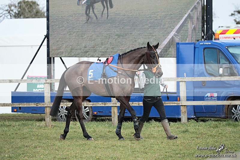 PtP 250126 12 - Cocklebarrow Races Point-to-Point 25/01/26