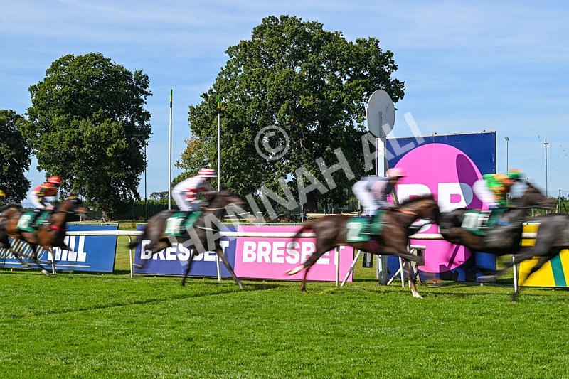 160924-Race 1-Susiesparkle-2461 - Race 1