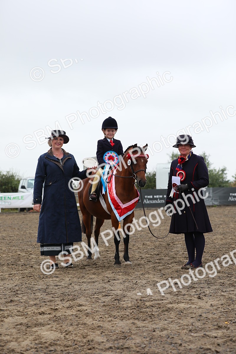 SBM_21862 - Class 806 - Young ridder 10 Yr & Under