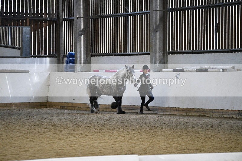 WJ5_5198 - Class 8 In hand cob