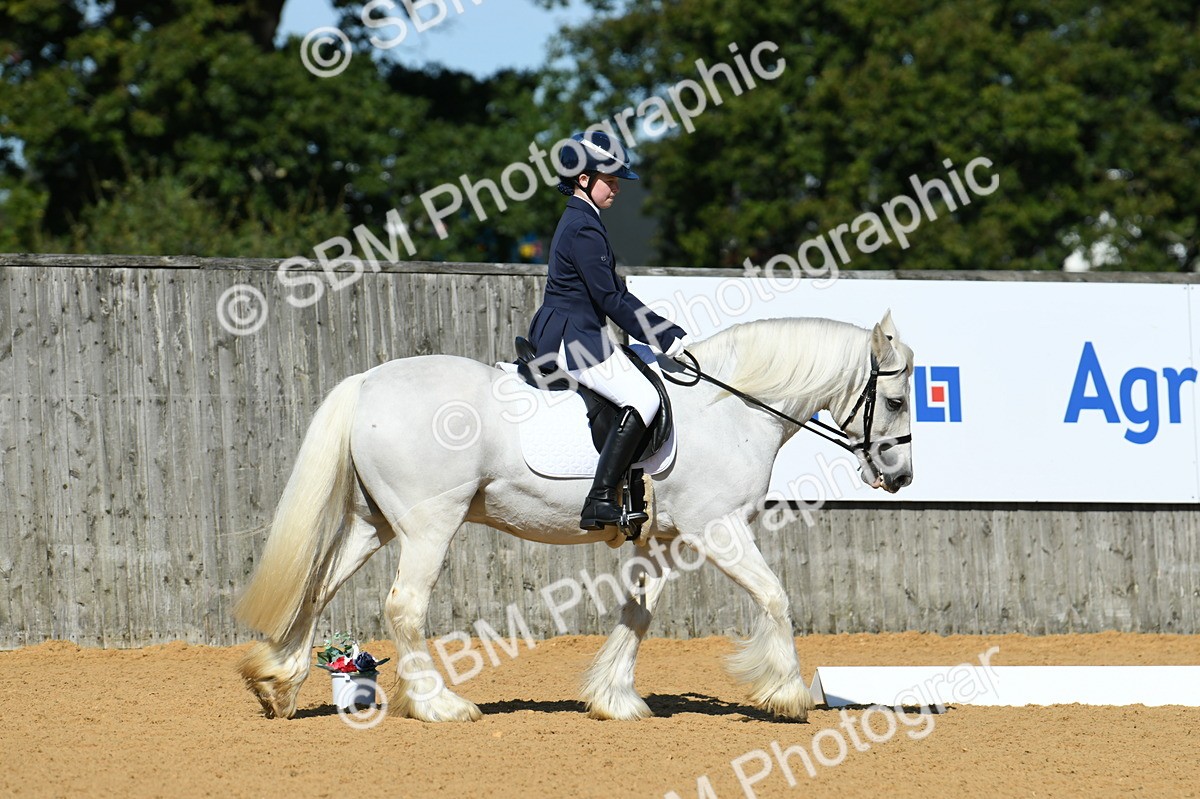 SBM_18108 - D4 - Small Tour Championship - Intro B