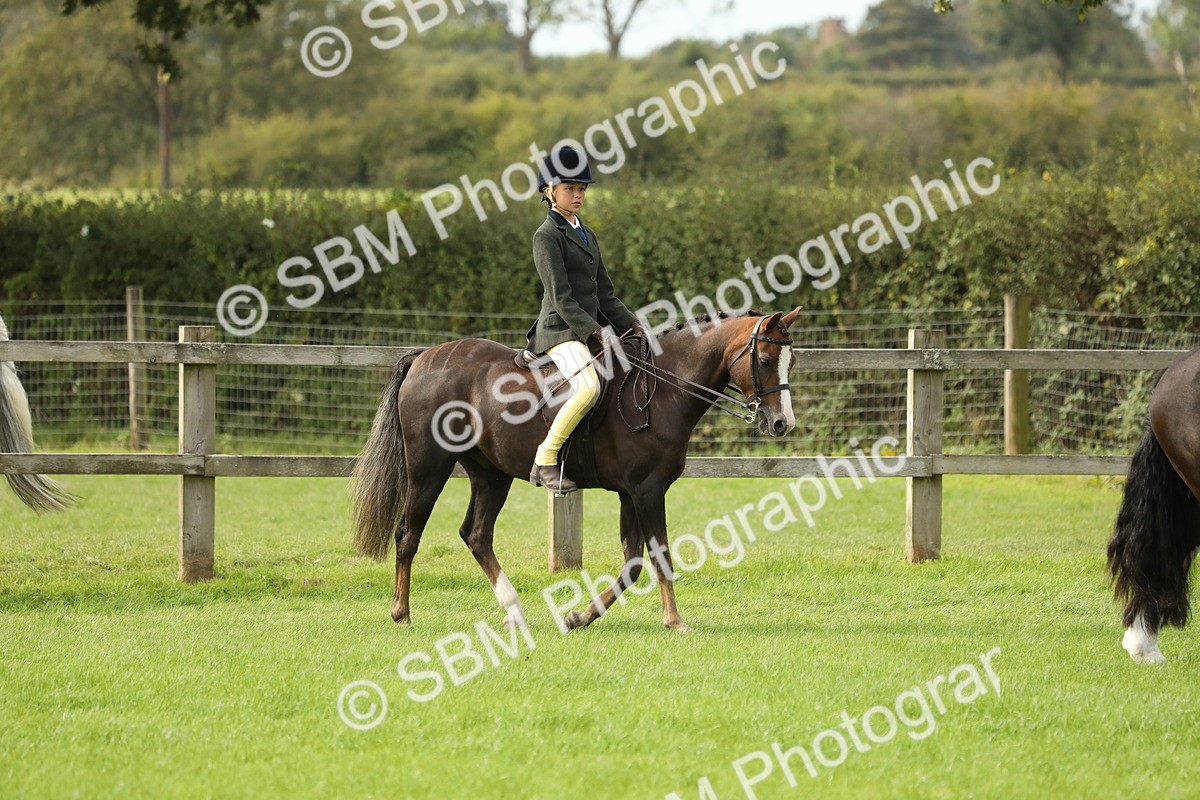 SBM_71470 - S41 - Ridden Equitation (Best Rider)
