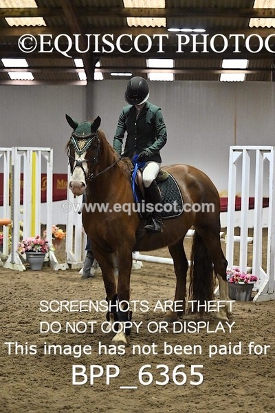 BPP_6365 - CLASS 2  Club/ Unaffiliated 80cms Open