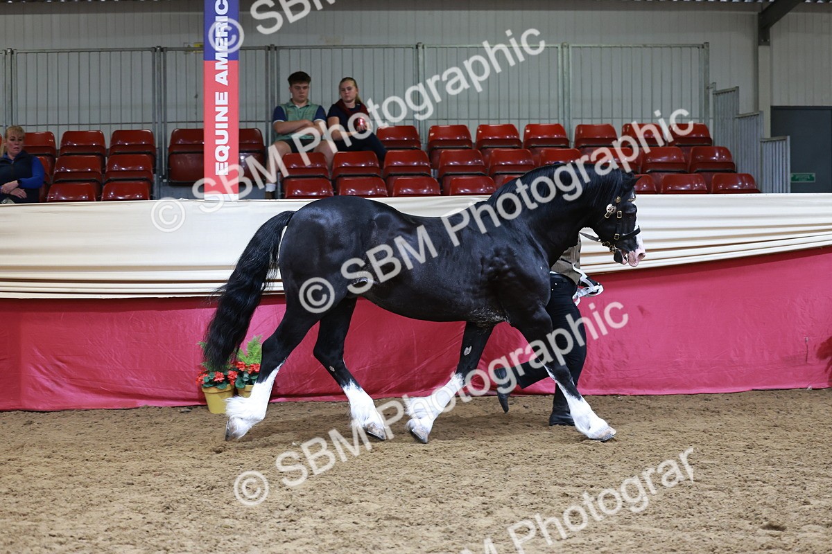 SBM_17405 - Class 951 - M&M IH Supreme Final