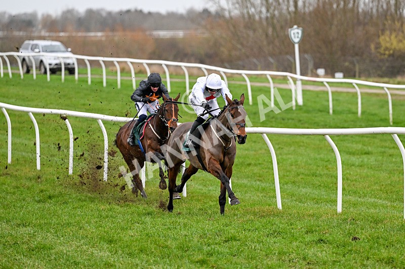 281225-Race 2-Kakas Cousin-0183 - Race 2