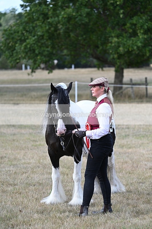 WJ7_8319 - In-hand Championship