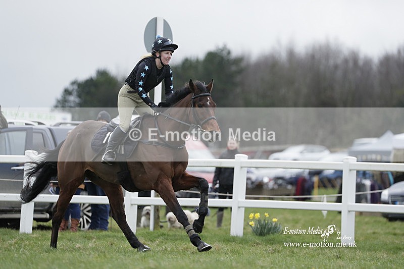 PtP 260323 0184 - New Forest Hounds Point-to-Point Larkhill 26/03/23