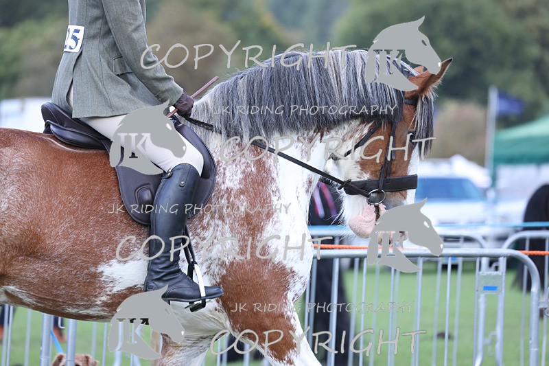 APP_3647 - Class 8 Ridden Class