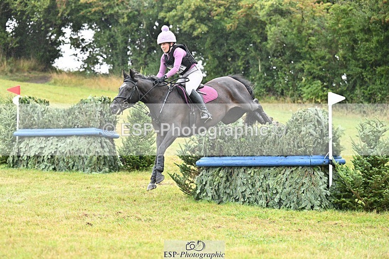 TS_b0602624 - SAT BE 90 Recovered Files fence 8