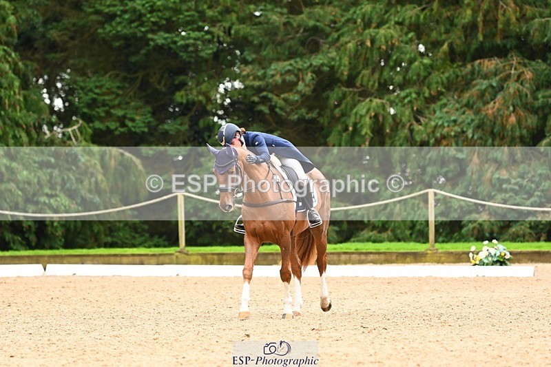 231020-153225-11860 - 213-MGH.HILDARE.HARLEQUIN-Danielle.Mccormack-DR