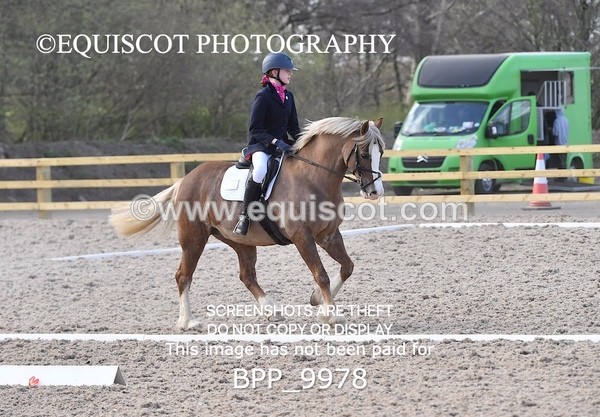 BPP_9978 - TEAM QUEST PRELIM 3