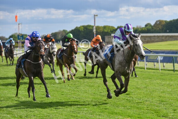 yr22052021r7-45 - Race 7 5.25pm Hudson Quarter York Palace Capital Stakes - Gentleman Amateur Riders Race